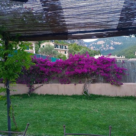 Filoses 18A Valldemossa Kültér fotó