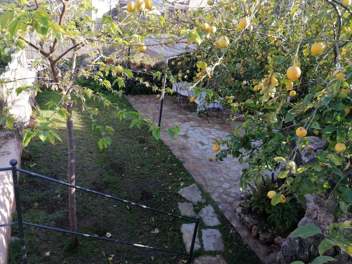 Filoses 18A Valldemossa Kültér fotó